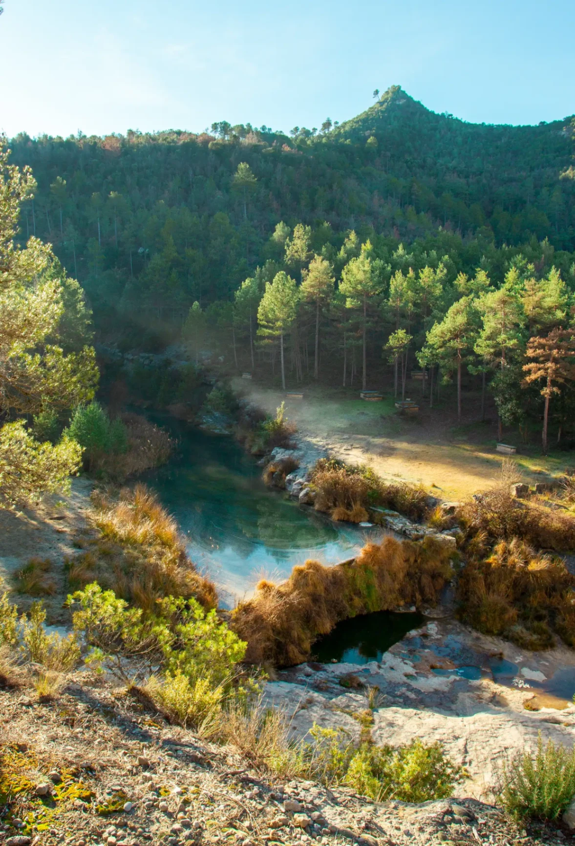 Río de aguas turquesa entre pinos y montañas