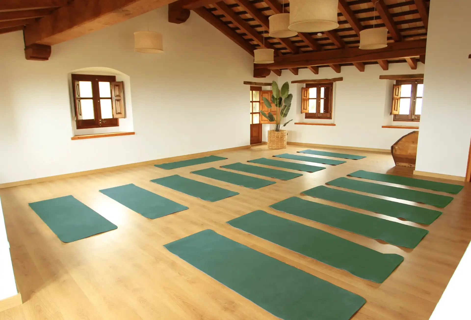 Sala amplia con esterillas verdes preparadas para yoga